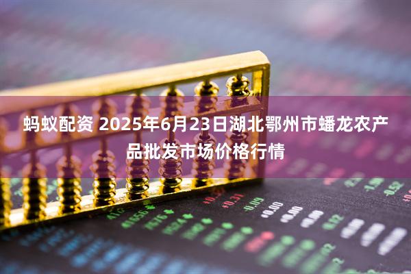 蚂蚁配资 2025年6月23日湖北鄂州市蟠龙农产品批发市场价格行情