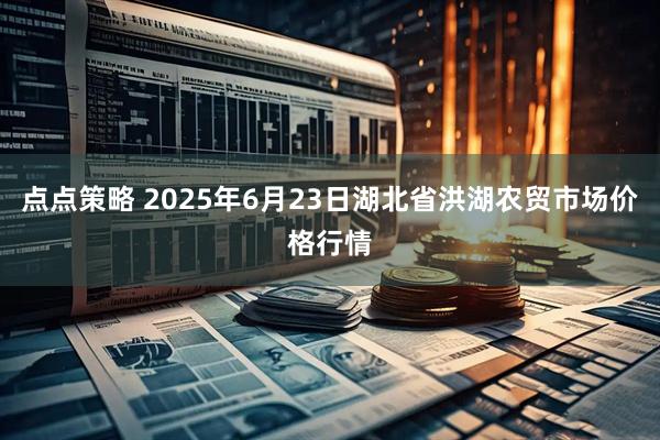 点点策略 2025年6月23日湖北省洪湖农贸市场价格行情