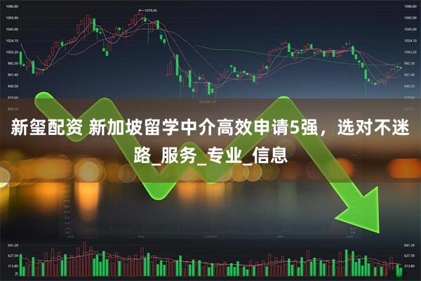 新玺配资 新加坡留学中介高效申请5强，选对不迷路_服务_专业_信息