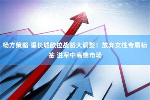 杨方策略 曝长城欧拉战略大调整！放弃女性专属标签 进军中高端市场