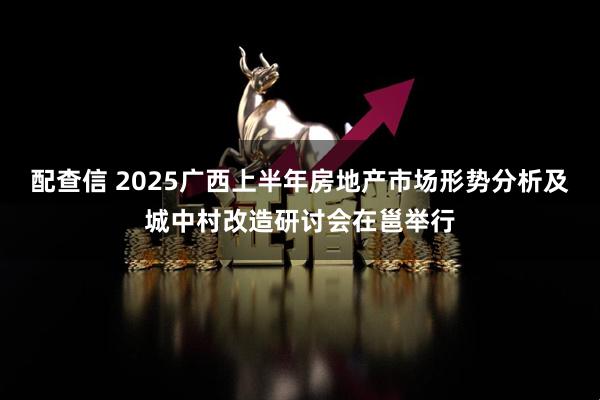 配查信 2025广西上半年房地产市场形势分析及城中村改造研讨会在邕举行