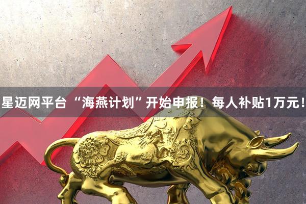 星迈网平台 “海燕计划”开始申报！每人补贴1万元！