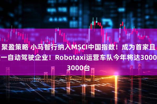 聚盈策略 小马智行纳入MSCI中国指数！成为首家且唯一自动驾驶企业！Robotaxi运营车队今年将达3000台
